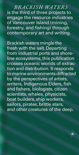 Brackish Waters by Jesse Birch, Will Holder, 9781915609861