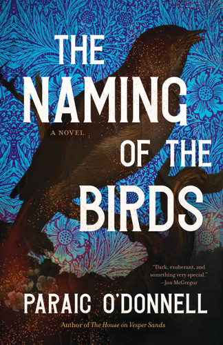 The Naming of the Birds by Paraic O'Donnell, 9781963108033