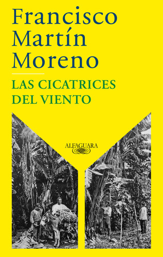 Las cicatrices del viento / The Scars of the Wind (Spanish Edition) by Francisco Martín Moreno, 9798890986832