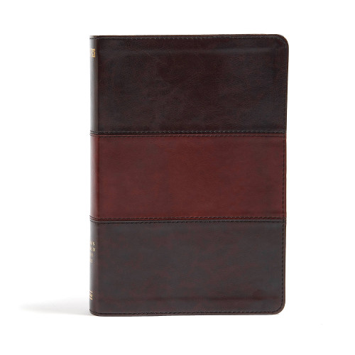 NIV Rainbow Study Bible, Saddle Brown LeatherTouch by Holman Bible Staff, 9781433616556