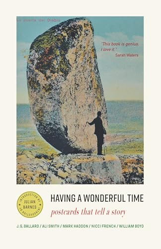 Having a Wonderful Time (Postcards That Tell a Story) by Julian Rothenstein, 9798893850819