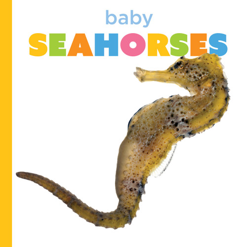 Baby Seahorses by Graham Morgan, 9798896801078