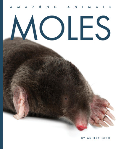 Moles - 9798896801276 by Ashley Gish
