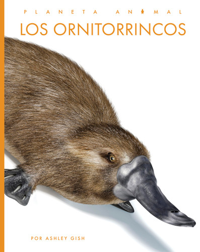 Los ornitorrincos (Spanish Edition) by Ashley Gish, 9798896802624