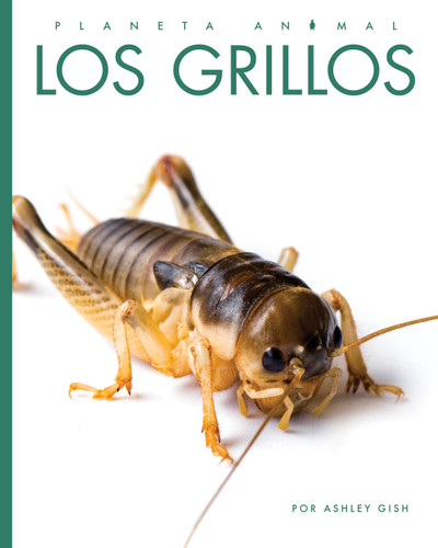 Los grillos (Spanish Edition) by Ashley Gish, 9798896803140