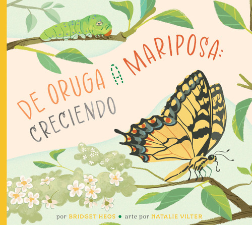 De la oruga a la mariposa: creciendo by Bridget Heos, Natalie Vilter, 9798896855187