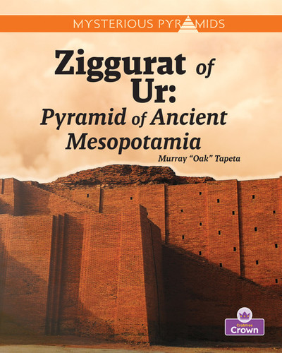 Ziggurat of Ur by Murray "Oak" Tapeta, 9781039872851