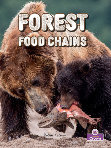 Forest Food Chains - 9781039872950 by Bobbie Kalman, Kelley MacAulay, 9781039872950