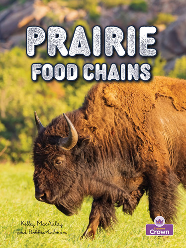 Prairie Food Chains - 9781039872974 by Molly Aloian, Bobbie Kalman, 9781039872974