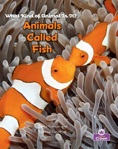 Animals Called Fish by Bobbie Kalman, Kristina Lundblad, 9781039873131