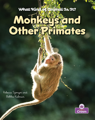 Monkeys and Other Primates - 9781039873797 by Kelley MacAulay, Bobbie Kalman, 9781039873797
