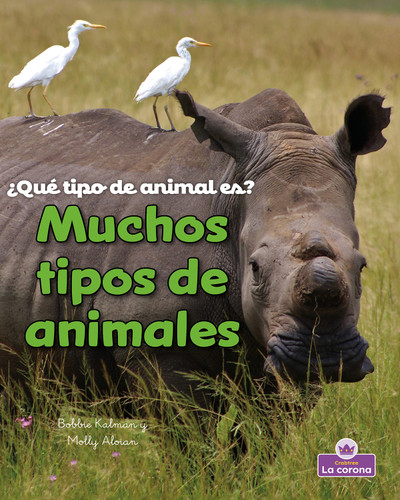 Muchos tipos de animales (Many Kinds of Animals) (Spanish Edition) by Molly Aloian, Bobbie  Kalman, 9781039874978