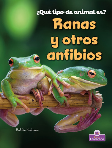 Ranas y otros anfibios (Frogs and Other Amphibians) (Spanish Edition) by Bobbie Kalman, 9781039874985