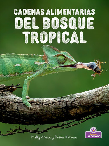 Cadenas alimentarias del bosque tropical  (Rainforest Food Chains) (Spanish Edition) by Molly Aloian, Bobbie Kalman, 9781039875043
