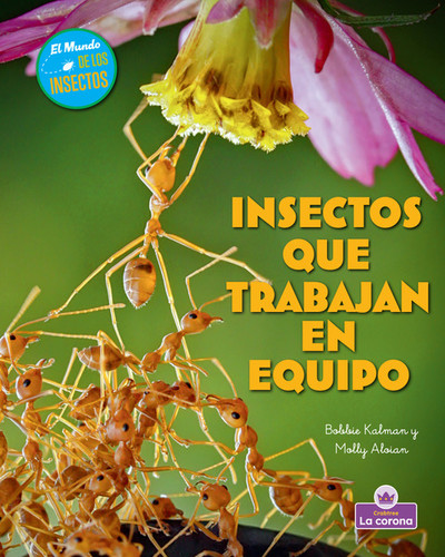 Insectos que trabajan en equipo (Insects That Work Together) (Spanish Edition) by Molly Aloian, Bobbie Kalman, 9781039875111