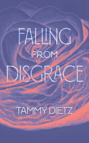 Falling from Disgrace by Tammy Dietz, 9781947976481