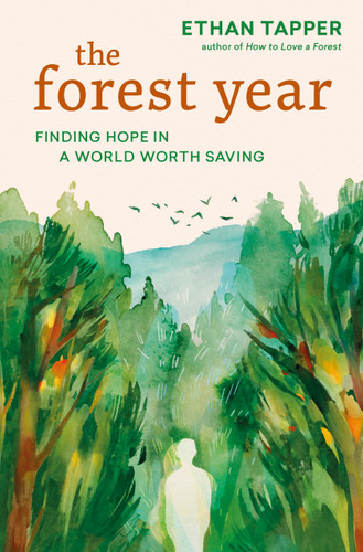 The Forest Year (Finding Hope in a World Worth Saving) by Ethan Tapper, 9781643266510