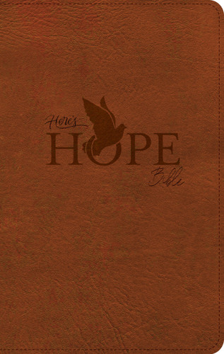 CSB Here's Hope Bible, Burnt Sienna LeatherTouch by CSB Bibles by Holman, 9798384552758