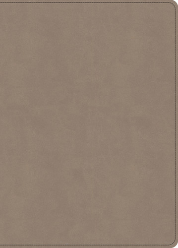 KJV Single-Column Wide-Margin Bible, Sand LeatherTouch by Holman Bible Publishers, 9798384553151