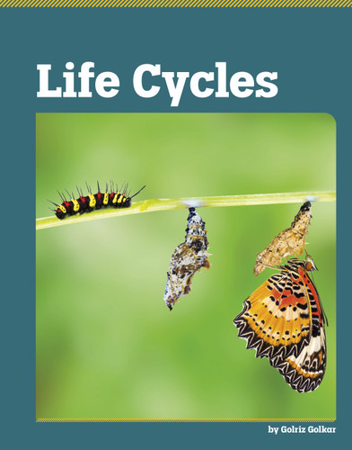 Life Cycles - 9798875313301 by Golriz Golkar, 9798875313301