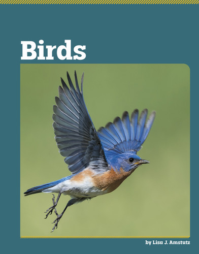 Birds - 9798875313547 by Lisa J. Amstutz, 9798875313547