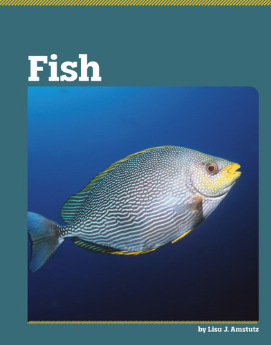 Fish by Lisa J. Amstutz, 9798875313615