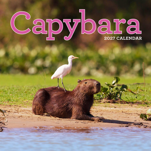 Capybara Wall Calendar 2027 (A Happy, Capy Year) by Workman Calendars, 9781523533305