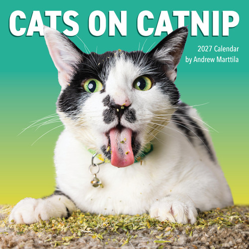 Cats on Catnip Wall Calendar 2027 (A Year of Cats Living the High Life) by Andrew Marttila, Workman Calendars, 9781523534838