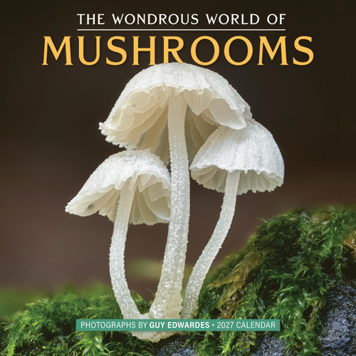 The Wondrous World of Mushrooms Wall Calendar 2027 by Guy Edwardes, Workman Calendars, 9781523535064