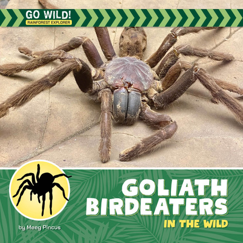 Goliath Birdeaters in the Wild by Meeg Pincus, 9781668980149