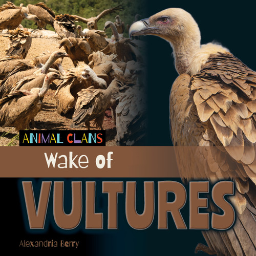 Wake of Vultures by Alexandria Berry, 9781668980385