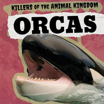 Orcas by Elizabeth Krajnik, 9781725306196