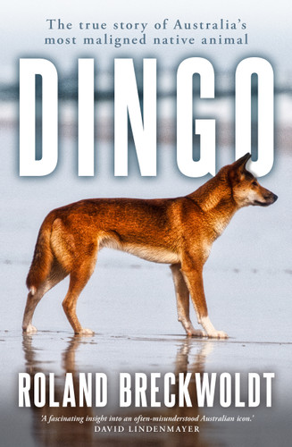 Dingo (The true story of Australia's most maligned native animal) by Roland Breckwoldt, 9781761471179