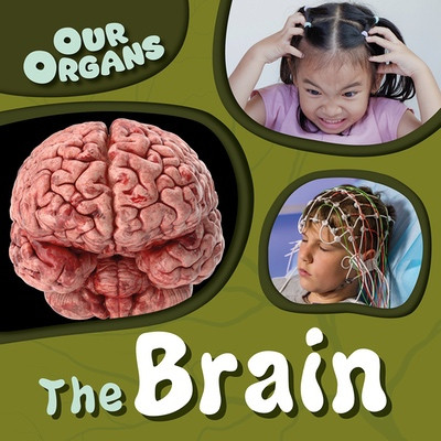 The Brain by Steffi Cavell-Clarke, 9781482477931