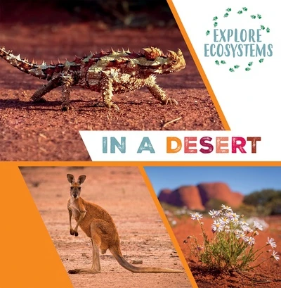 In a Desert by Sarah Ridley, 9781482478655