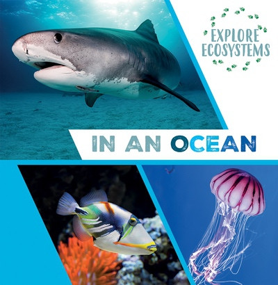 In an Ocean by Sarah Ridley, 9781482478778