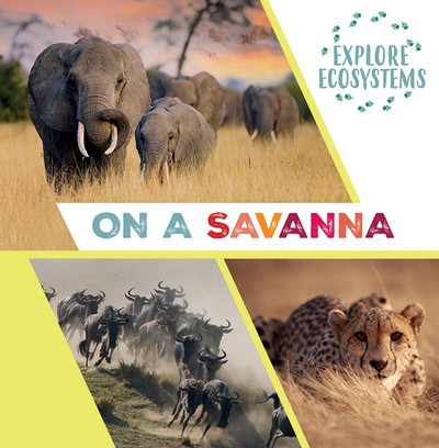 On a Savanna by Sarah Ridley, 9781482478808