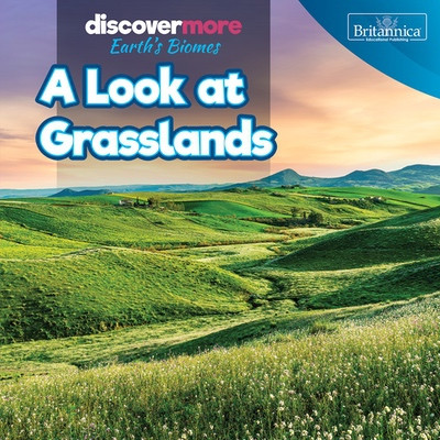 A Look at Grasslands by Dwayne Hicks, 9781641906296