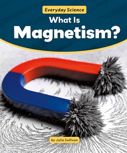 What Is Magnetism? by Julia Sullivan, 9781538295700
