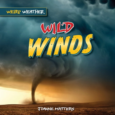 Wild Winds by Joanne Mattern, 9781978549852