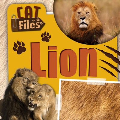 Lion by Bethany Latham, 9781534569591
