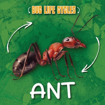 Ant by Rod Barkman, 9781534571105