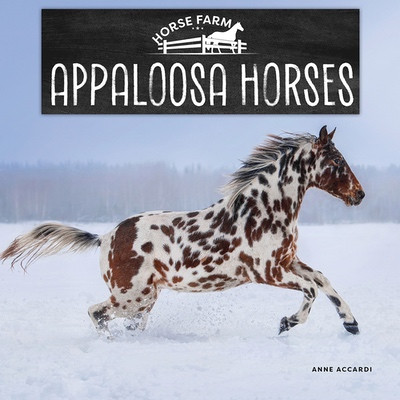 Appaloosa Horses by Anne Accardi, 9781978580817