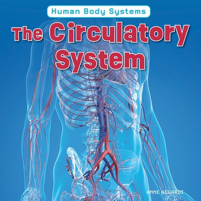 The Circulatory System by Anne Accardi, 9781978580954
