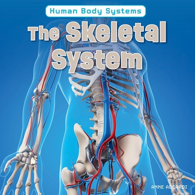 The Skeletal System by Anne Accardi, 9781978581104