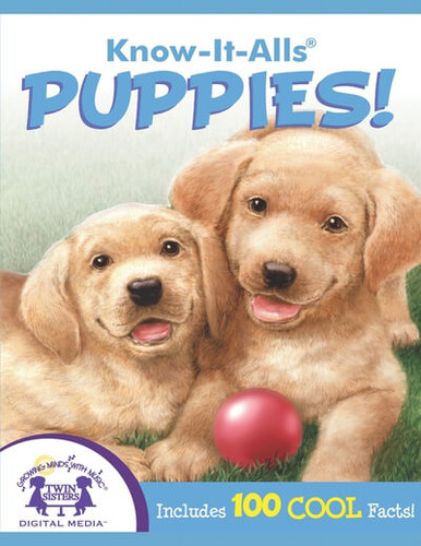 Puppies! by Janie Reinart, Chris Bigelow, 9781482493238
