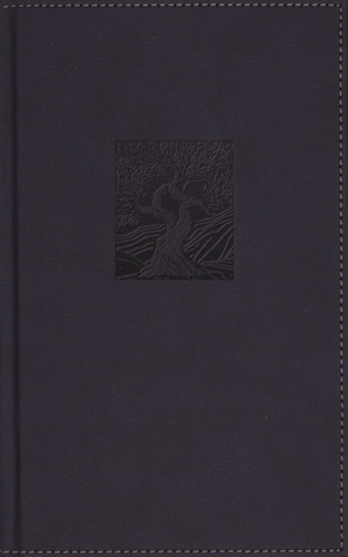 NIV, Heritage Bible, Page Edge Art Edition, Leathersoft over Board, Navy, Red Letter, Comfort Print, 9780310469209