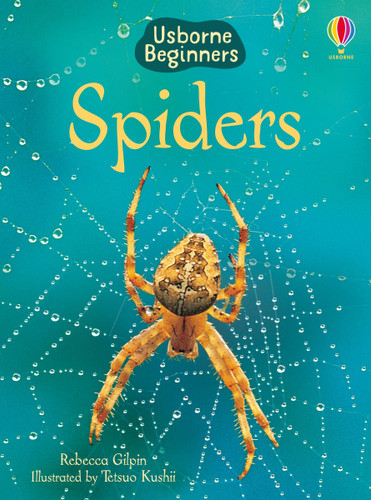 Spiders (Usborne Beginners) by Rebecca Gilpin, Tetsuo Kushii, 9781835405550