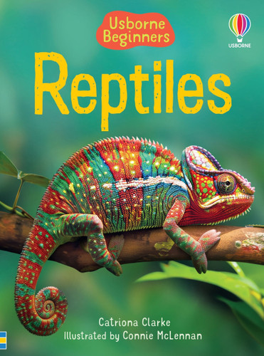 Reptiles (Usborne Beginners) by Catriona Clarke, Connie McLennan, Connie McLennan, 9781835409756