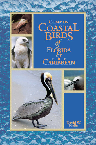 Common Coastal Birds of Florida & the Caribbean by David W Nellis, 9781561641918